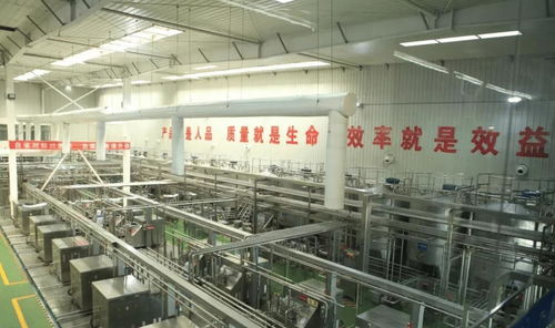 中國飲料界的超級單品 年銷40億罐，鑄就百億餐飲服務帝國