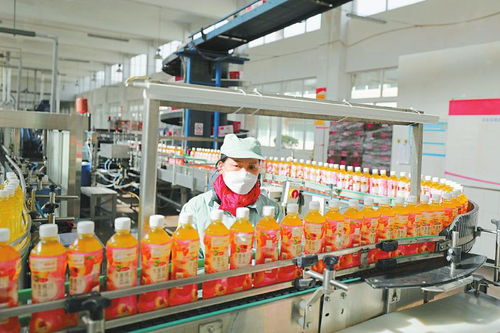 多產(chǎn)業(yè)協(xié)同發(fā)展 鋁產(chǎn)業(yè)、綠色家居與食品飲料等重點領域的建設與營商環(huán)境優(yōu)化