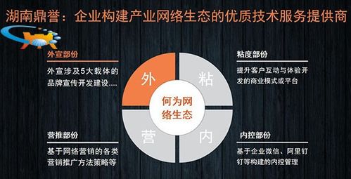 二十年網絡營銷實戰專家談 國內企業網絡營銷推廣的“道、法、術”